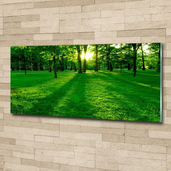 Glazen schilderij Gras in het park