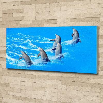 Glazen schilderij Dolfijnen