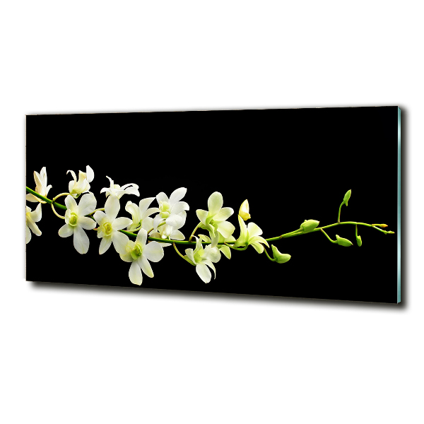 Foto schilderij op glas Orchidee