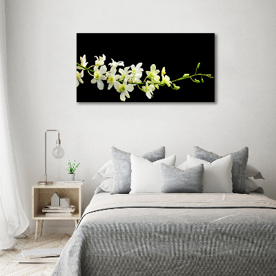 Foto schilderij op glas Orchidee