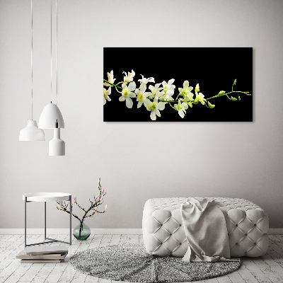 Foto schilderij op glas Orchidee