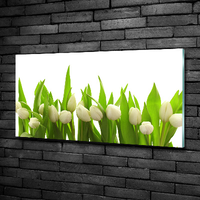 Schilderij op glas Witte tulpen