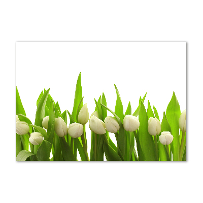 Schilderij op glas Witte tulpen