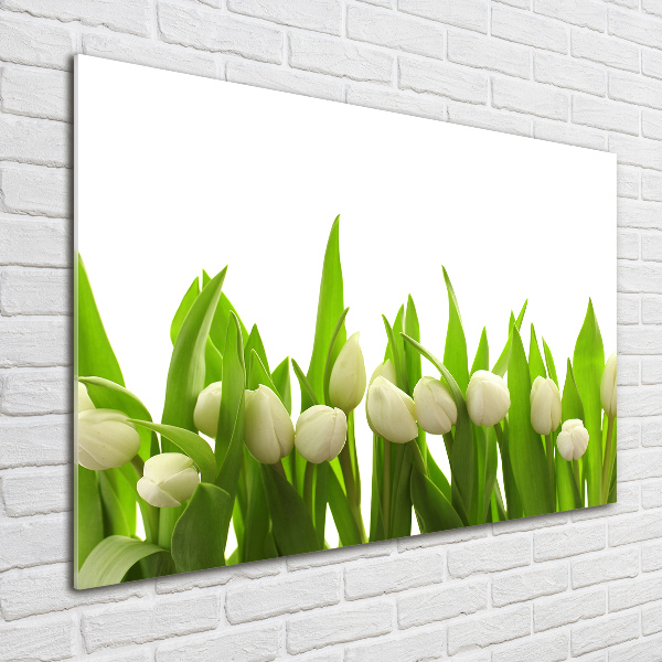 Schilderij op glas Witte tulpen