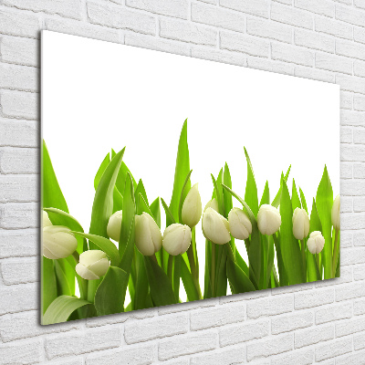 Schilderij op glas Witte tulpen