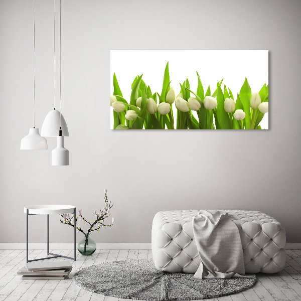 Schilderij op glas Witte tulpen