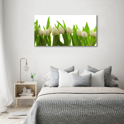 Schilderij glas Witte tulpen