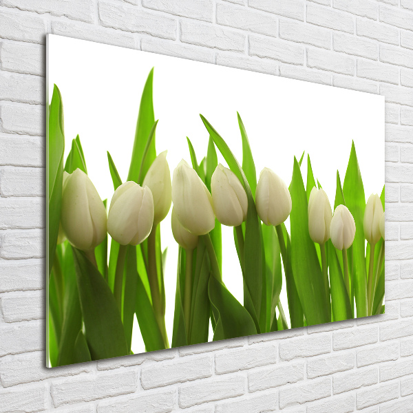 Schilderij glas Witte tulpen
