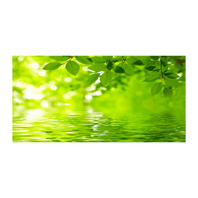 Glazen schilderij Groene bladeren