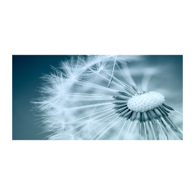 Foto schilderij op glas Paardebloem