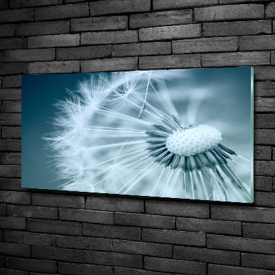 Foto schilderij op glas Paardebloem