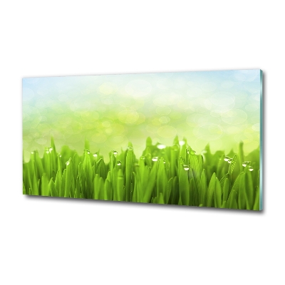 Schilderij op glas Gras