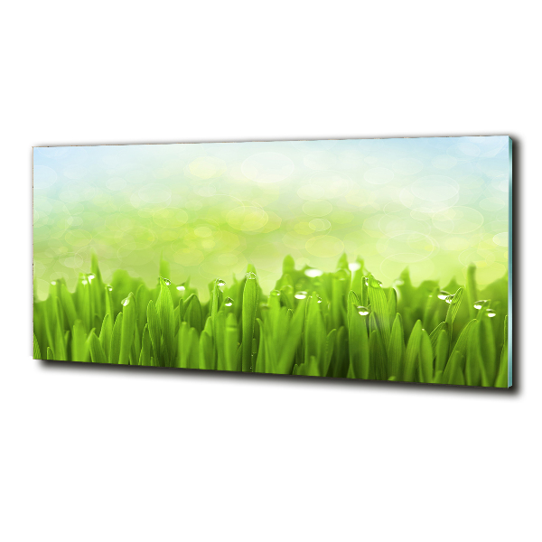 Schilderij op glas Gras