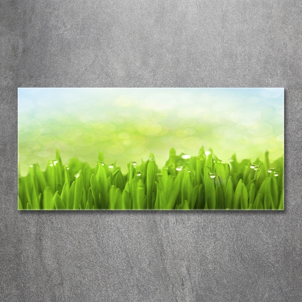 Schilderij op glas Gras