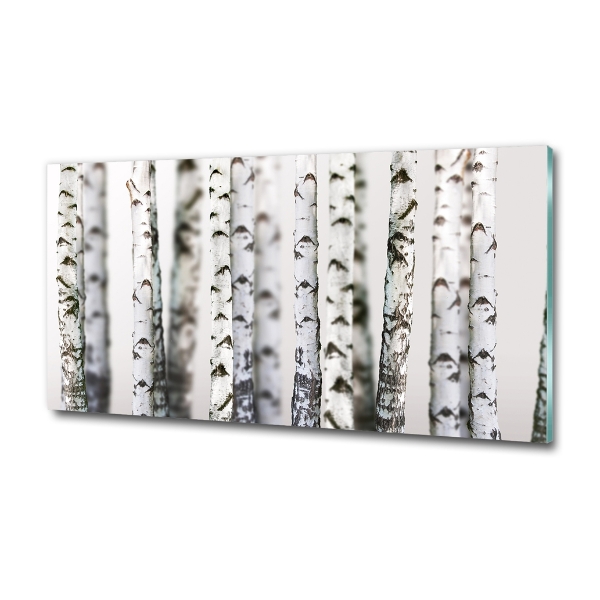 Schilderij glas Berkenstammen