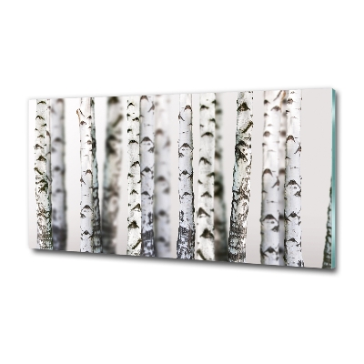 Schilderij glas Berkenstammen