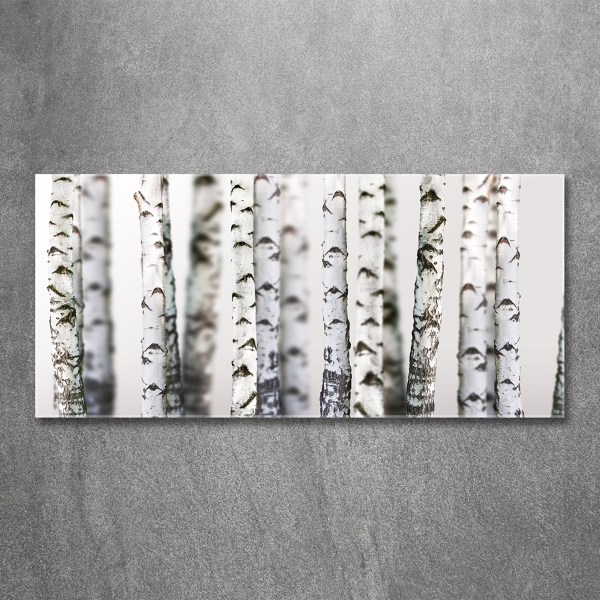 Schilderij glas Berkenstammen