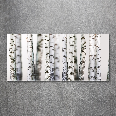 Schilderij glas Berkenstammen