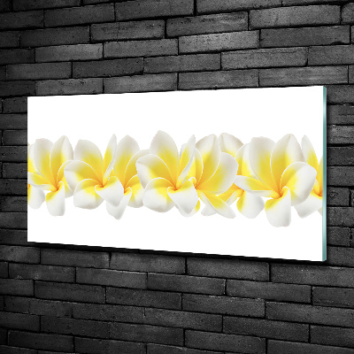 Foto schilderij op glas Plumeria