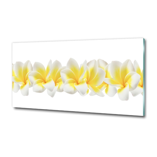 Foto schilderij op glas Plumeria