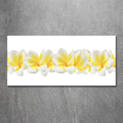 Foto schilderij op glas Plumeria