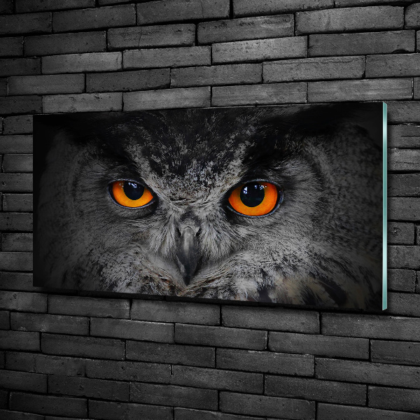 Glazen schilderij Duivelse uilenogen