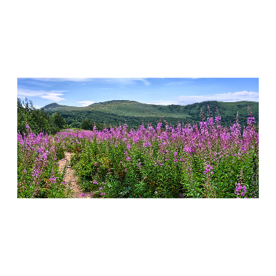 Foto schilderij op glas Groene heuvels