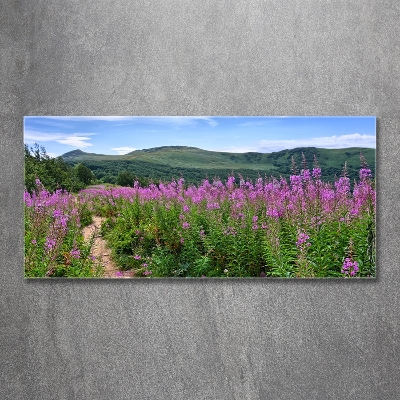 Foto schilderij op glas Groene heuvels