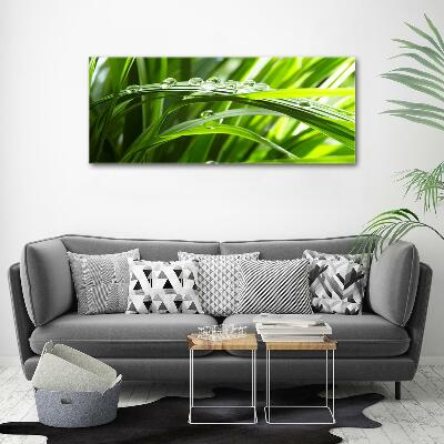 Schilderij glas Druppels op het gras