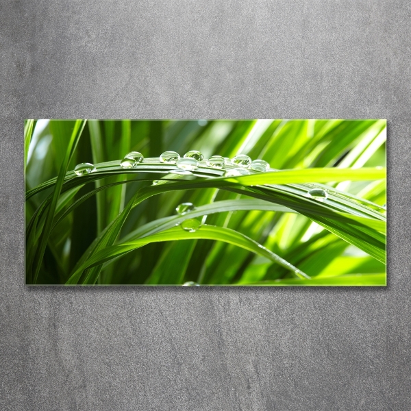 Schilderij glas Druppels op het gras