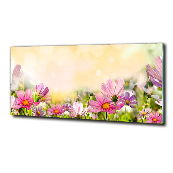 Glazen schilderij Klaprozen