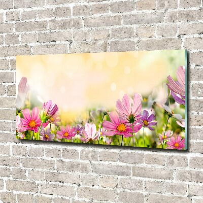 Glazen schilderij Klaprozen