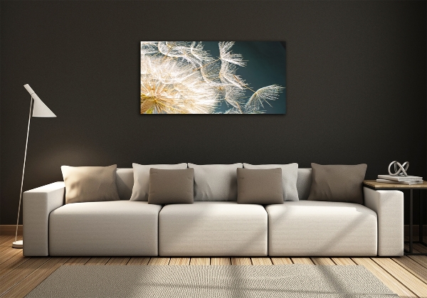 Foto schilderij op glas Paardenbloemzaden