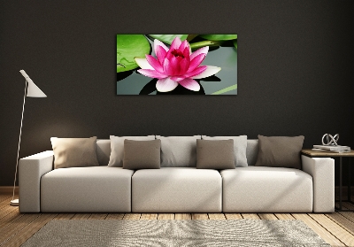 Schilderij op glas Waterlelie