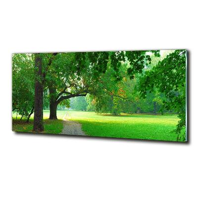 Schilderij glas Park in de herfst