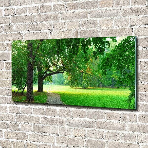 Schilderij glas Park in de herfst
