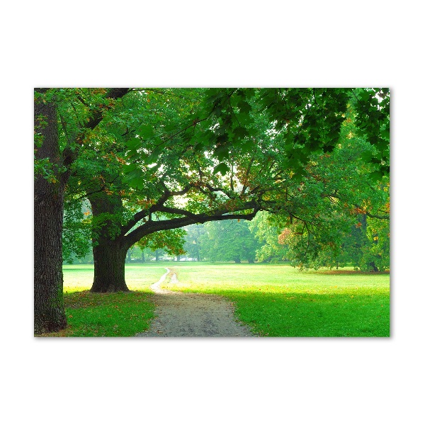 Schilderij glas Park in de herfst