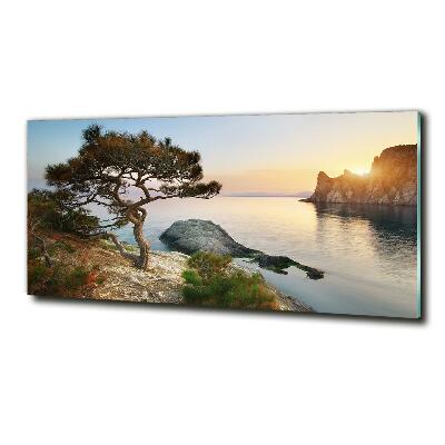 Schilderij glas Een boom aan zee