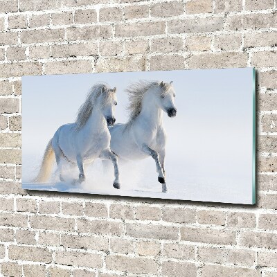 Foto schilderij op glas Twee paarden in de sneeuw