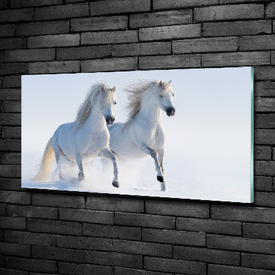 Foto schilderij op glas Twee paarden in de sneeuw