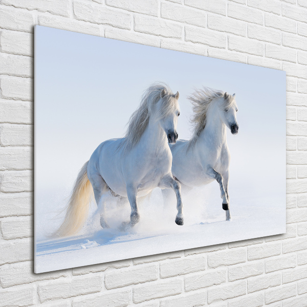 Foto schilderij op glas Twee paarden in de sneeuw