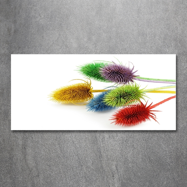 Foto schilderij op glas Distel