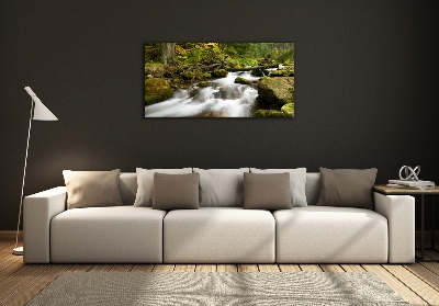 Schilderij glas Olczyski-stroom