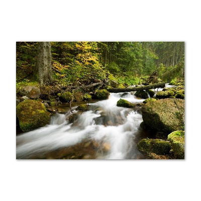 Schilderij glas Olczyski-stroom