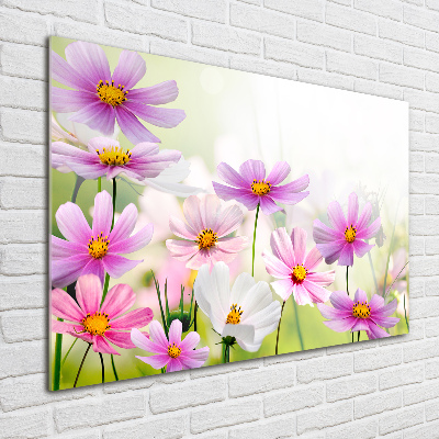 Schilderij op glas Bloemen in de weide