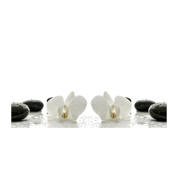 Schilderij glas Orchidee