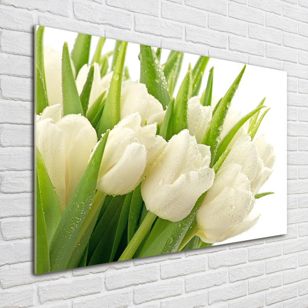 Glazen schilderij Witte tulpen