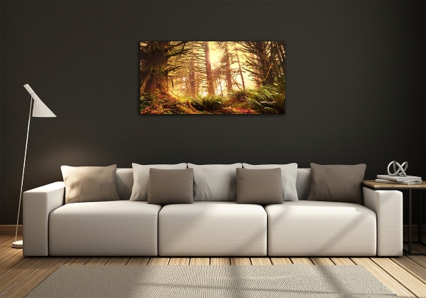 Foto schilderij op glas regenwoud