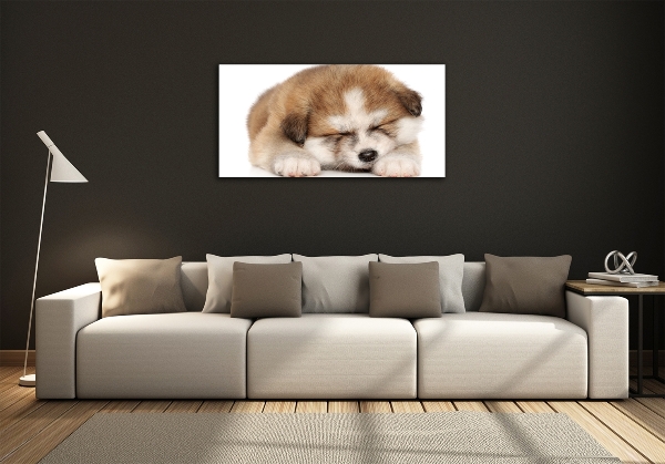 Foto schilderij op glas Akita-puppy