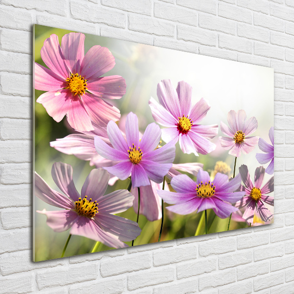 Foto schilderij op glas Bloemen in de weide